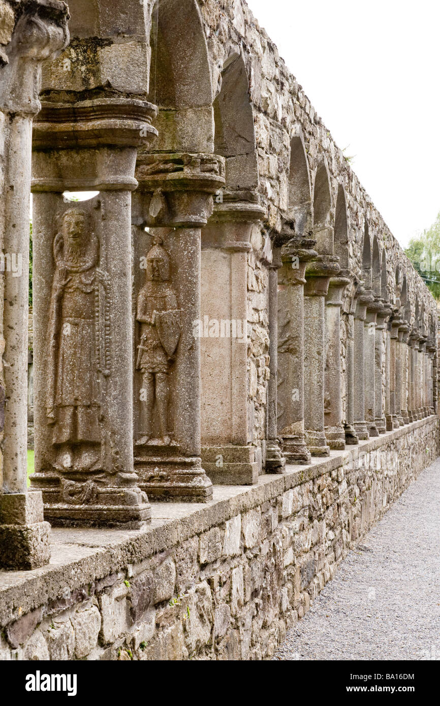 Spalten des Kreuzgangs. Ritter und Priester schmücken die Spalten rund um den grünen Kreuzgang Jerpoint Abbey. Stockfoto