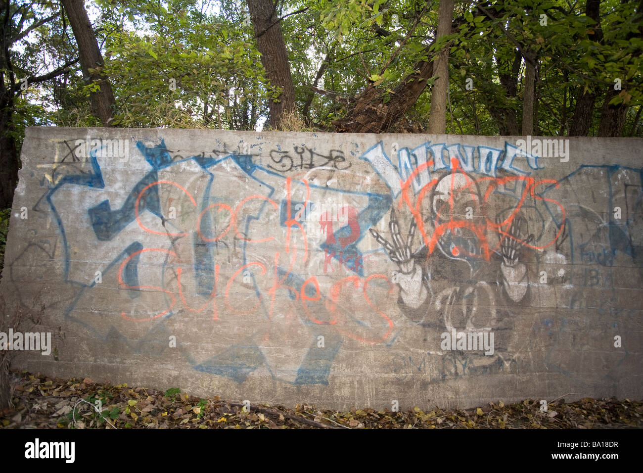 Bande Graffiti im ländlichen USA. Banden wandern von Innenstädten in ländlichen Gemeinden. Stockfoto