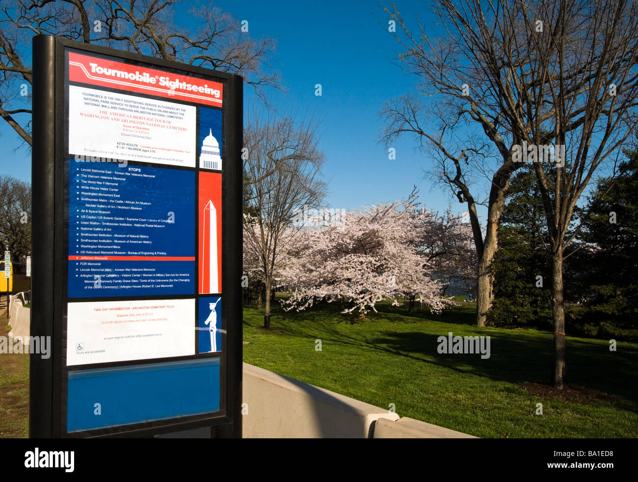 Tour Mobil und Sightseeing unterzeichnen in der Innenstadt von Washington DC mit einem Cherry Blossom Baum im Hintergrund Stockfoto