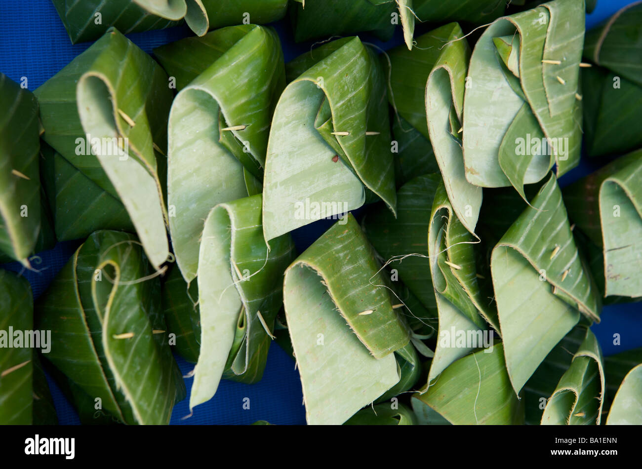 Bananenblatt Reis Parzellen Luang Prabang Laos Stockfoto