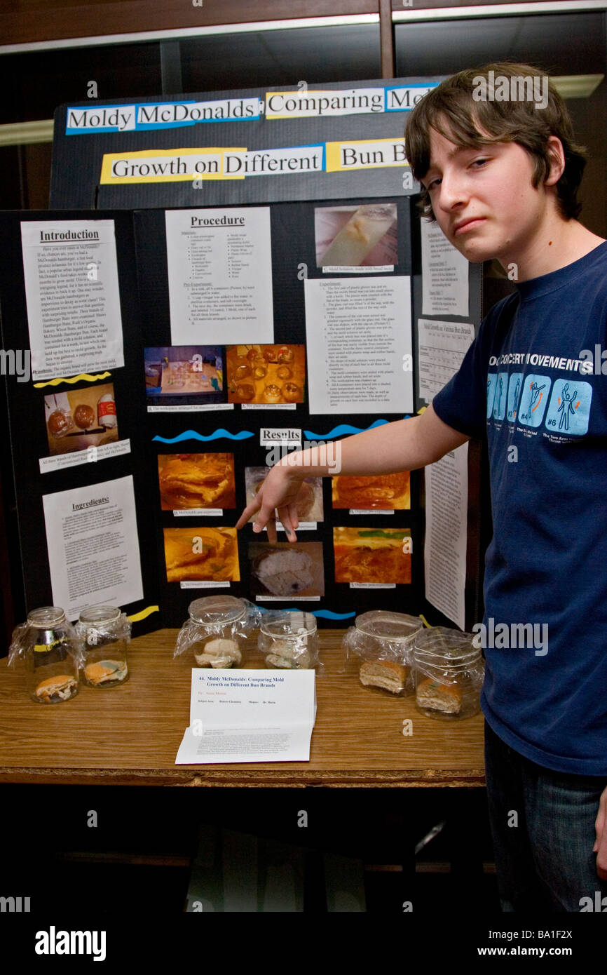 Männliche Schüler zeigt wissenschaftliches Projekt von Schimmelbildung auf Brötchen Stockfoto