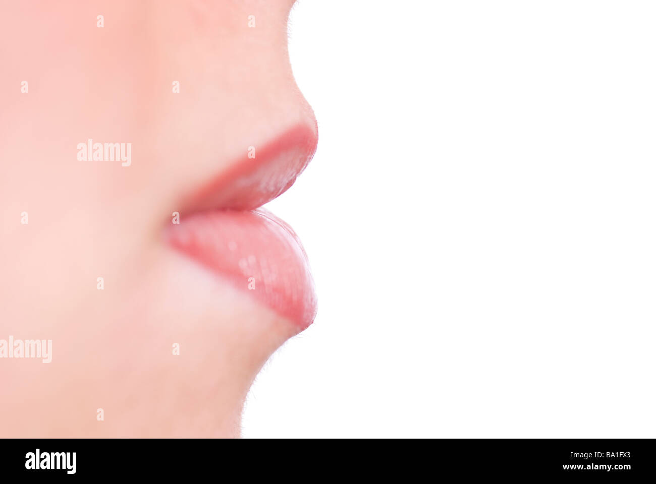 Seitenansicht Nahaufnahme von einer jungen Frau Mund tragen Lipgloss vor einem weißen Hintergrund Stockfoto