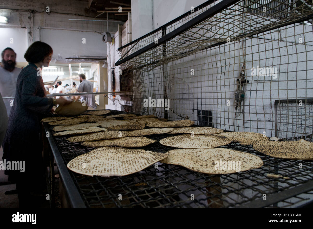 Frisch gebackenes Shmurah matzo traditionelle handgemachte Passah ungesäuertes Brot Kfar Chabad Bäckerei in Zentral-Israel Stockfoto