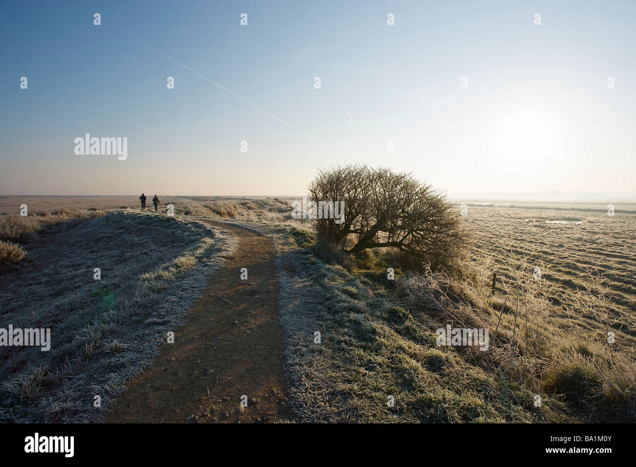 Laufen Sie Februar in Cley North Norfolk Stockfoto Laufen Sie Februar in Cley North Norfolk Stockfoto