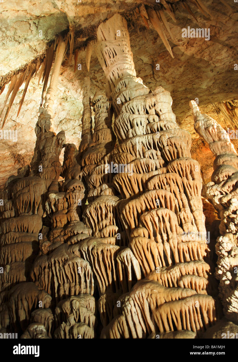 Korallen im Soreq Stalaktiten Höhle Naturreservat auch genannt Avschalom Höhle Höhle Stockfoto