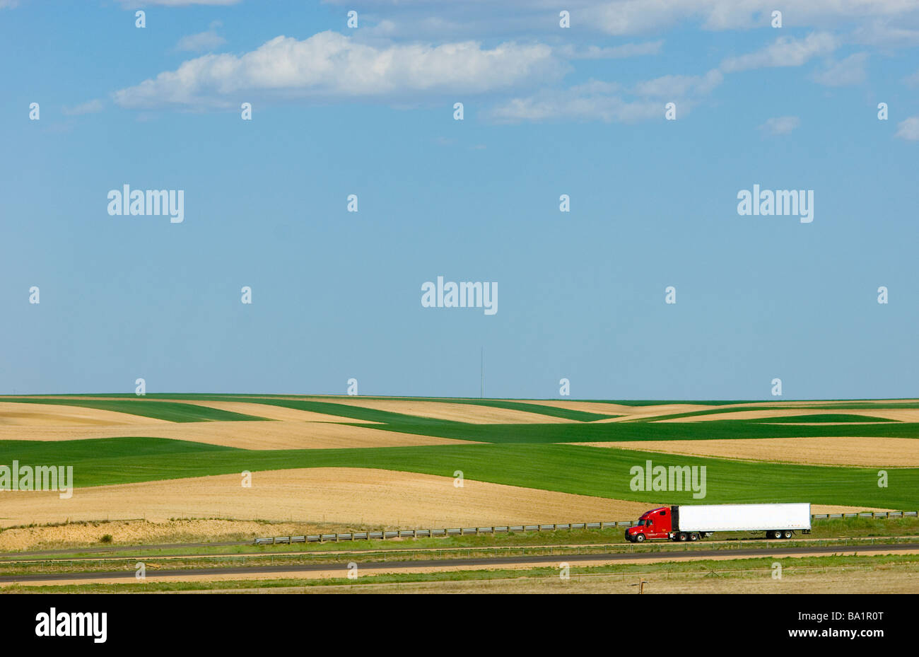 LKW vor Feldern Stockfoto