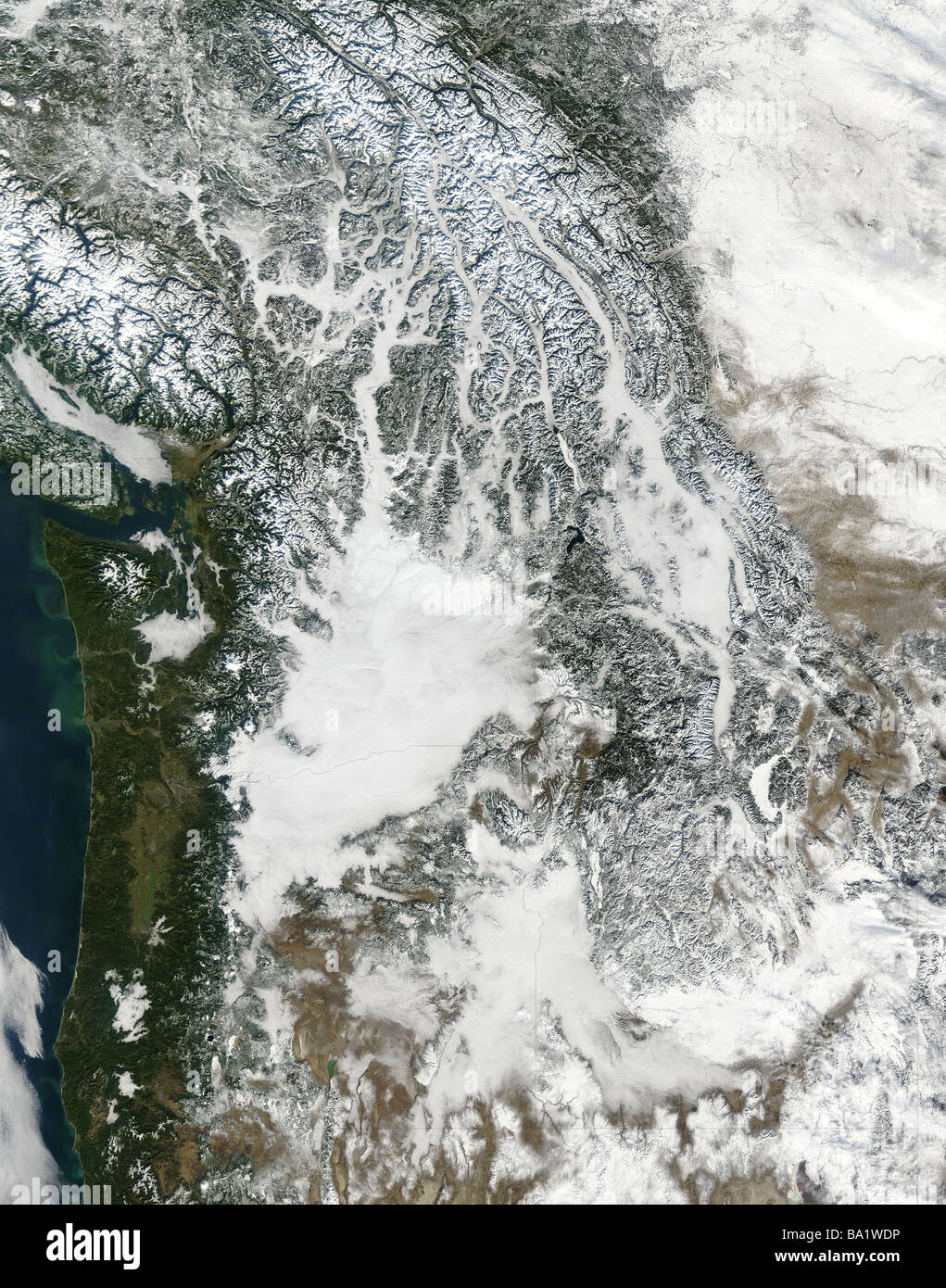 28. Januar 2009 - Nebel und Schnee im pazifischen Nordwesten (true Color). Stockfoto