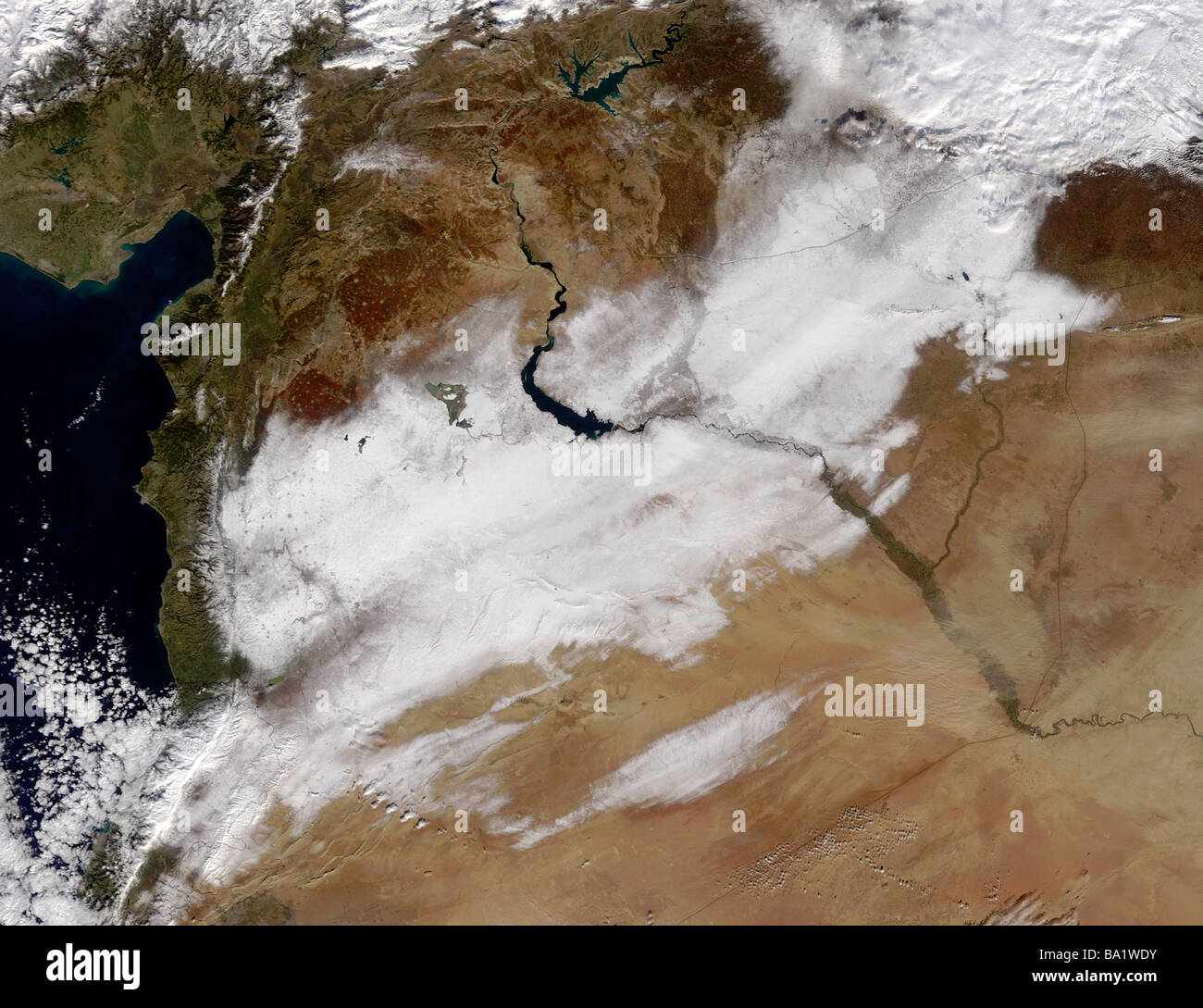 1. Januar 2009 - Schnee in Syrien. Stockfoto