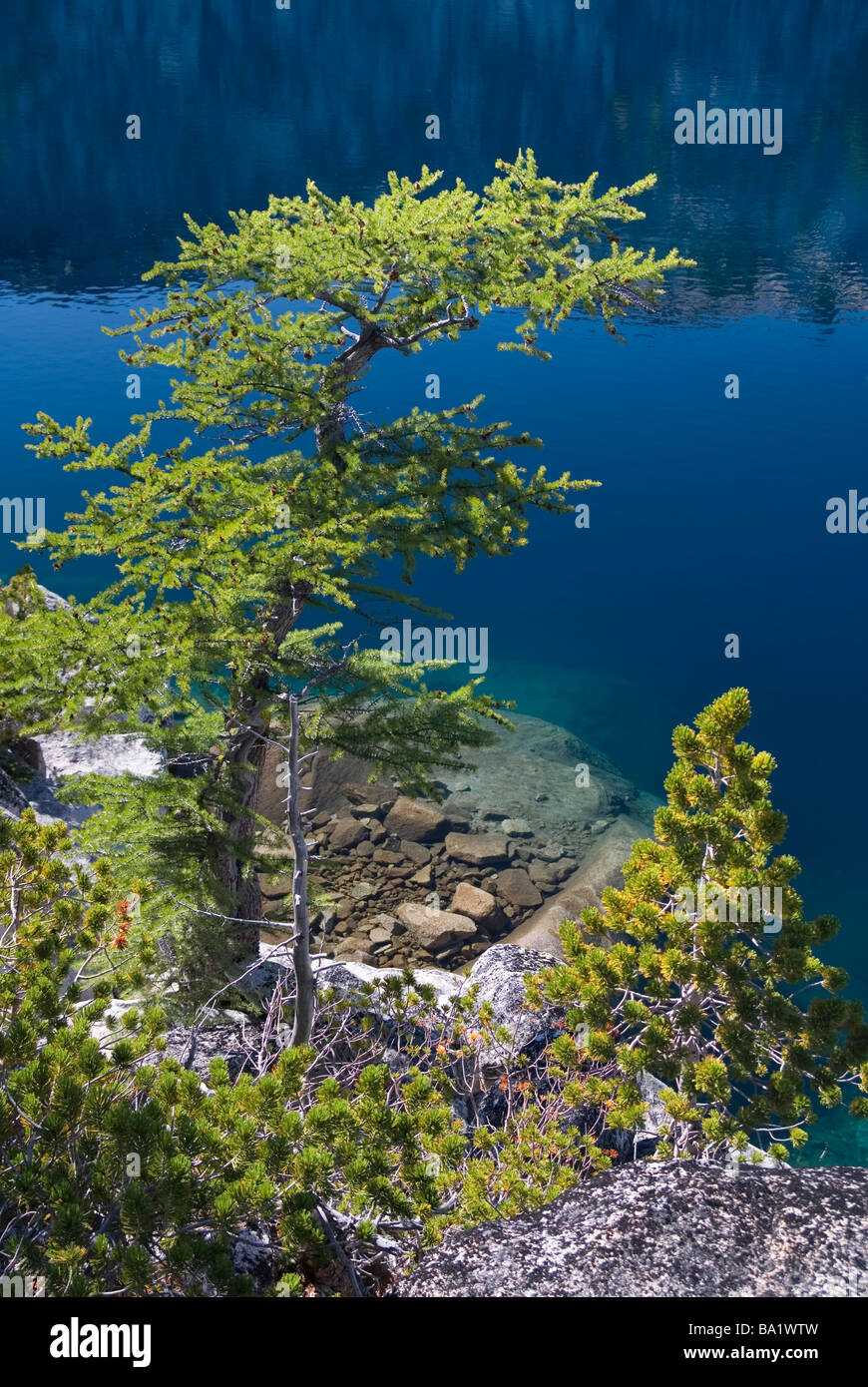 Das kristallklare Wasser der eisige Kälte Viviane See 2.068 m (6,785 ft) spiegelt die blauen Himmel des Sommers, alpinen Seen Wüste, Washington State Stockfoto