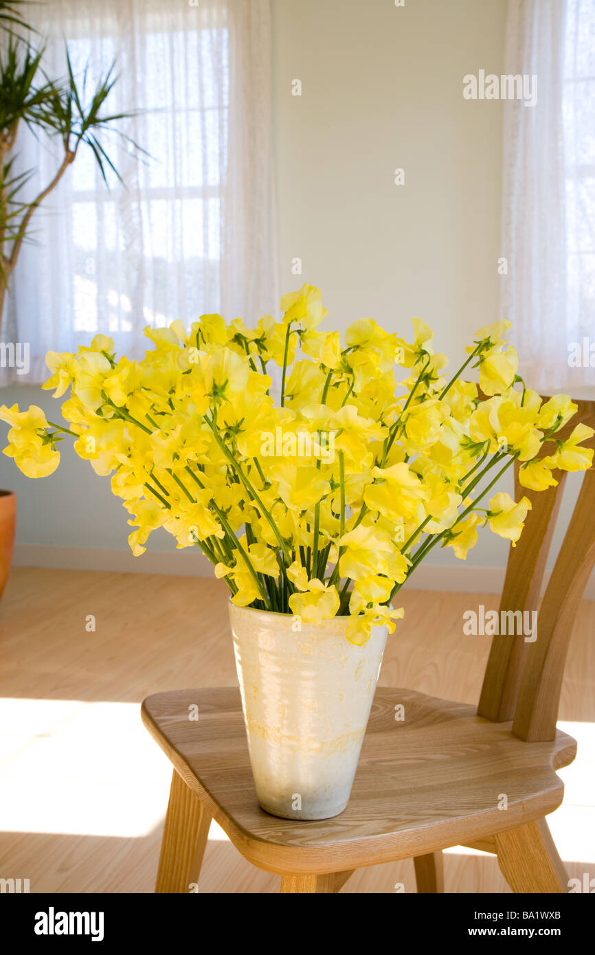 Gelbe Blumen-Vase auf Stuhl Stockfoto