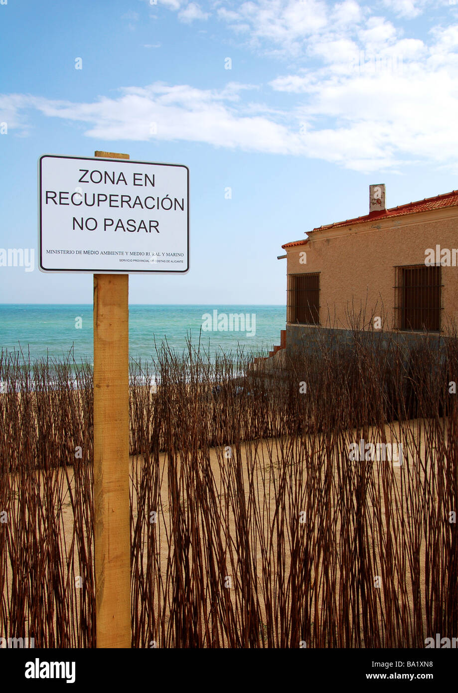 Strand Reclamation Guardamar Costa Blanca 1 Stockfoto