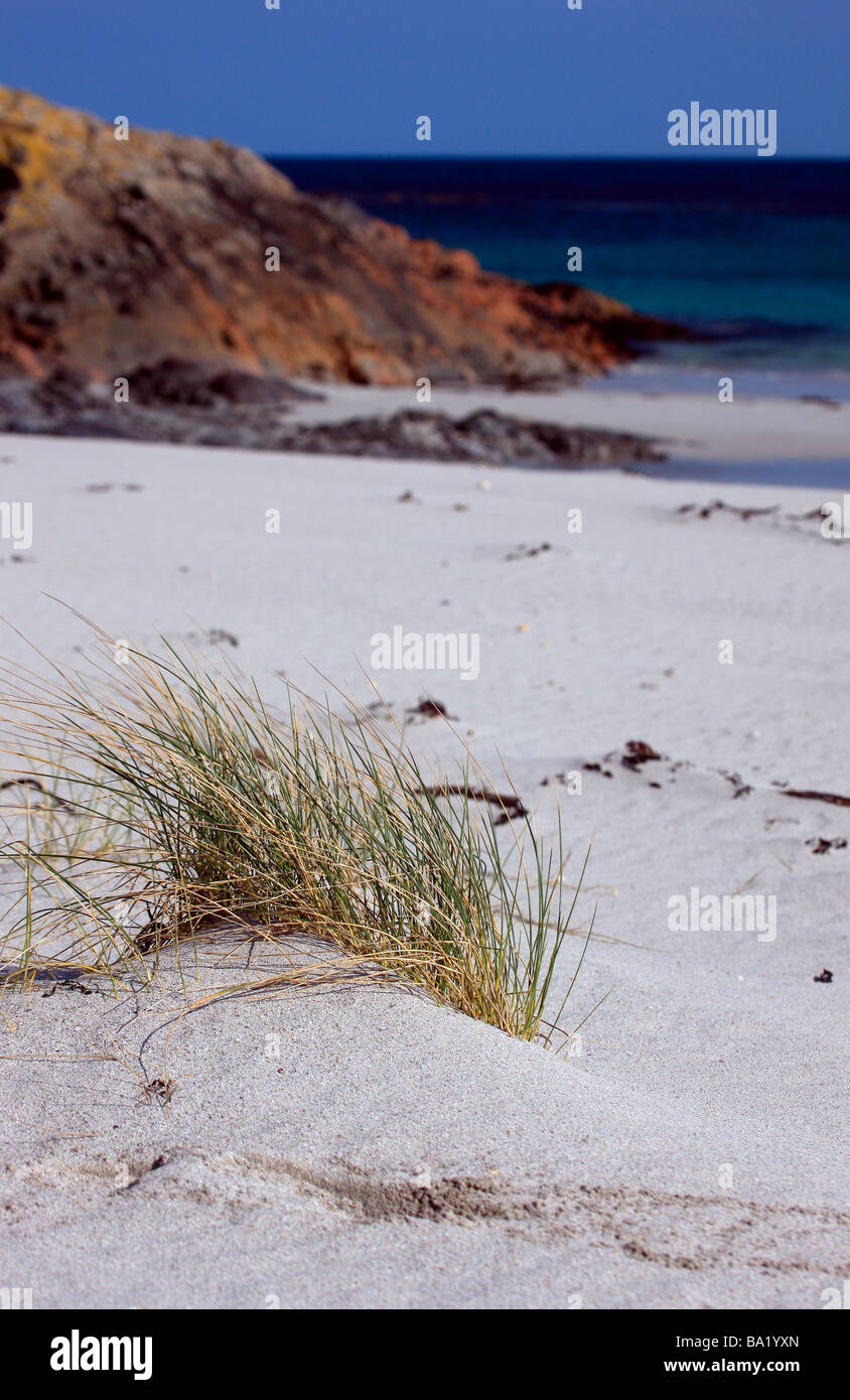 Tiree Strand Stockfoto