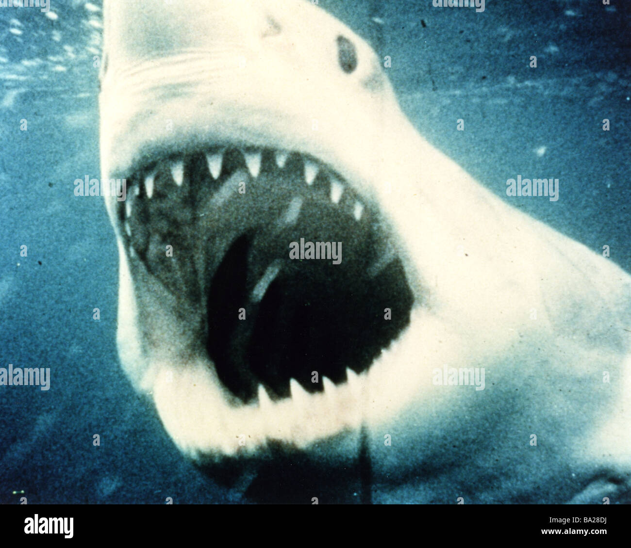 Der weiße Hai 1975 Universal film Stockfoto