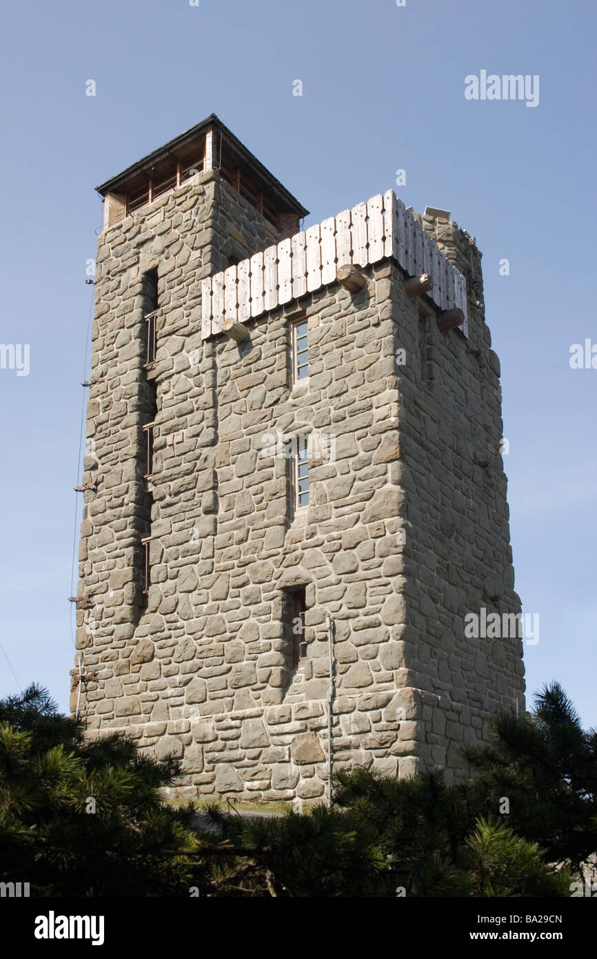 Turm auf Mount Verfassung - Moran State Park - Orcas Island, Washington, USA Stockfoto