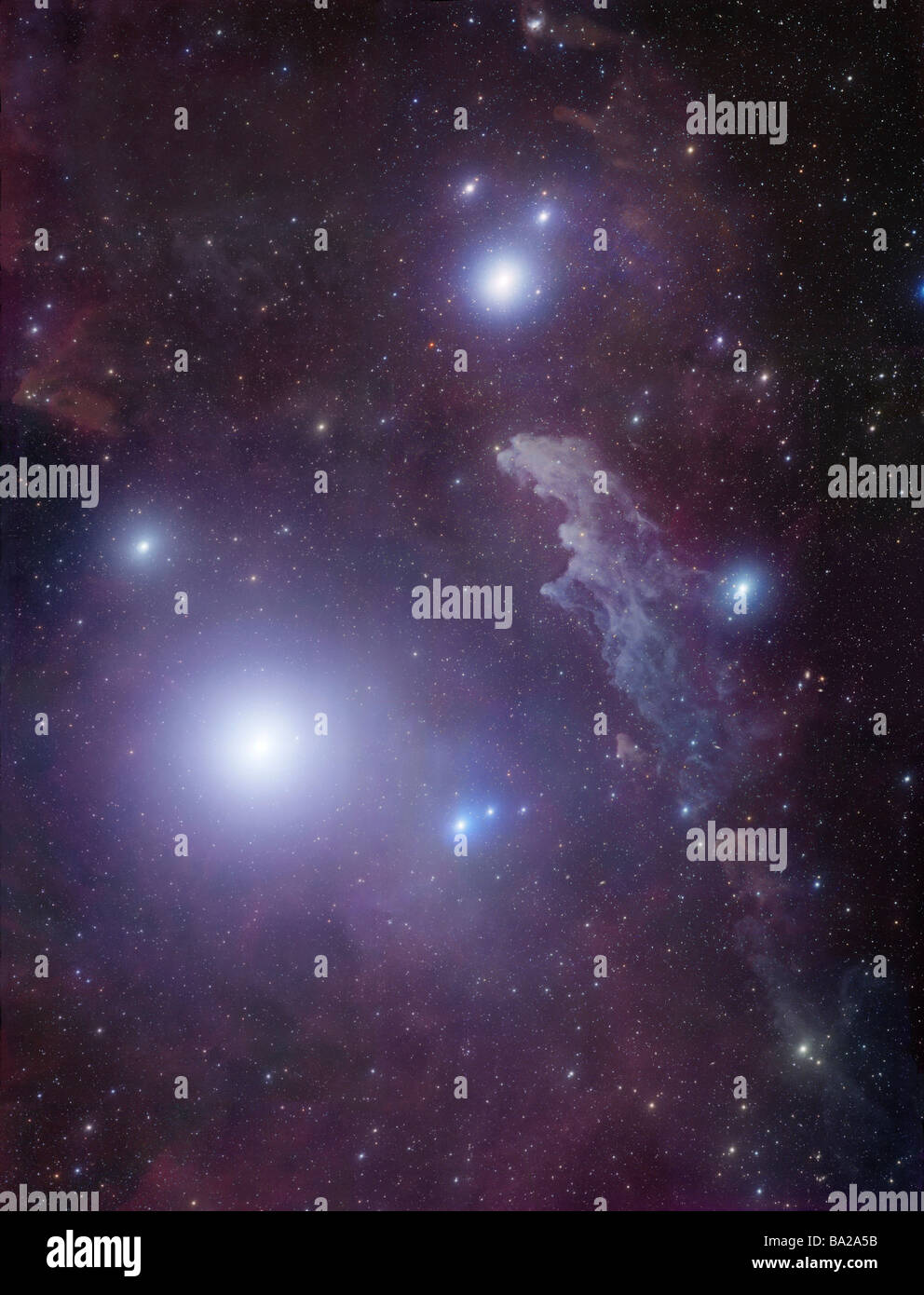 Überriese Rigel und IC 2118 im Eridanus. IC 2118 (Cederblad 41, The Witch Kopf Nebula) Stockfoto