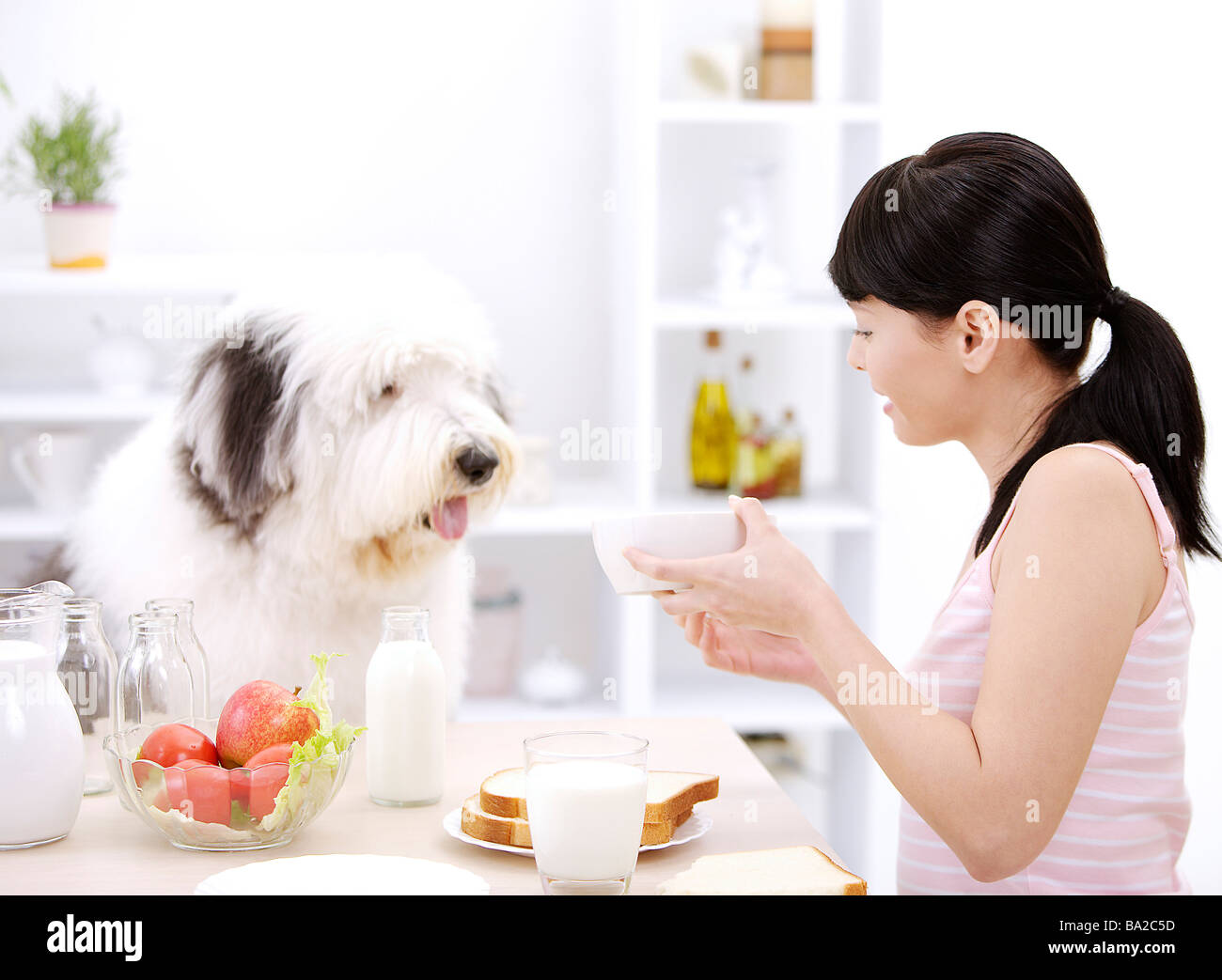 Junge Frau sitzt am Tisch mit alte englische Schäferhund hält eine Schüssel-Seitenansicht Stockfoto