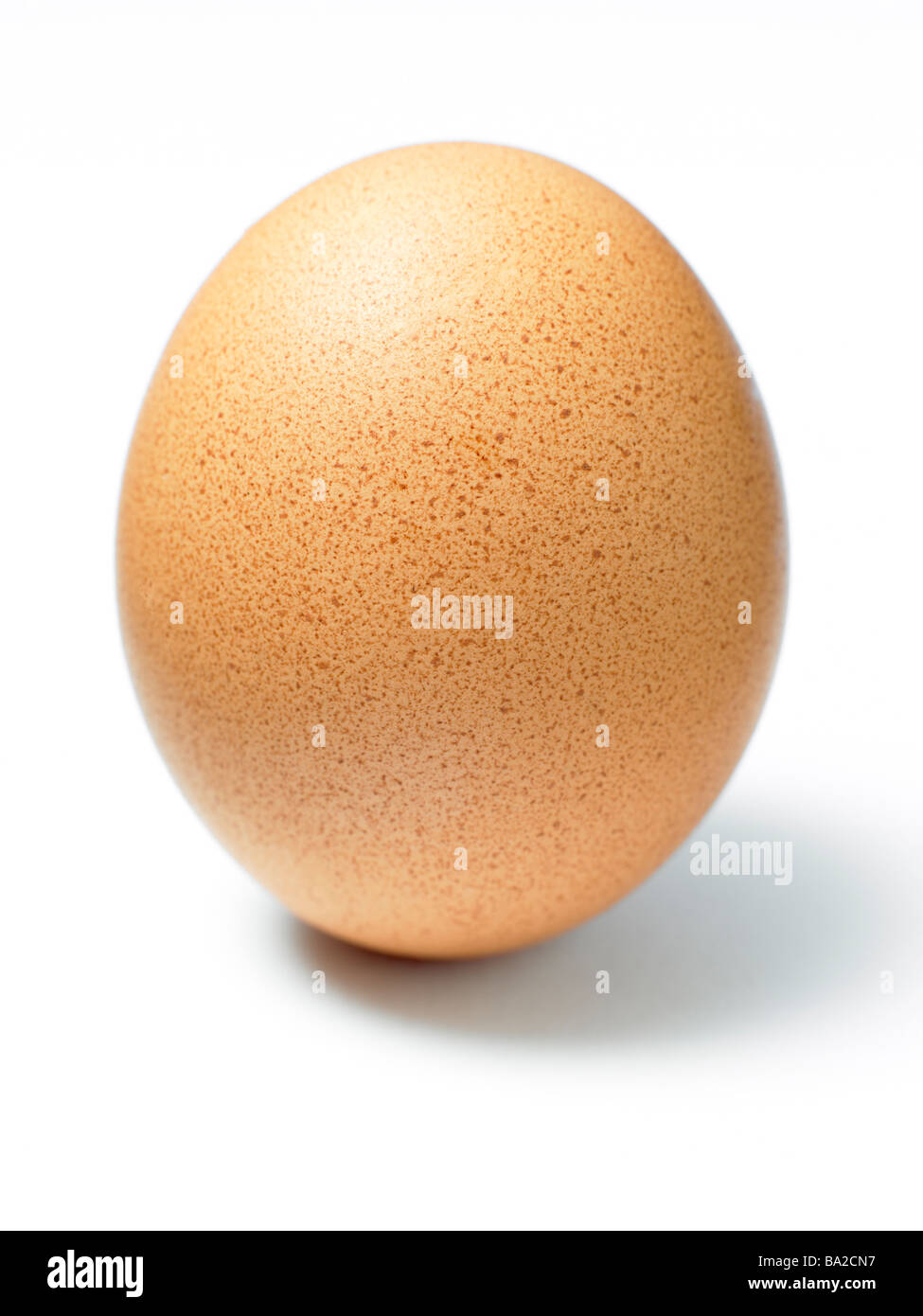 Studioaufnahme eines Eies Stockfoto