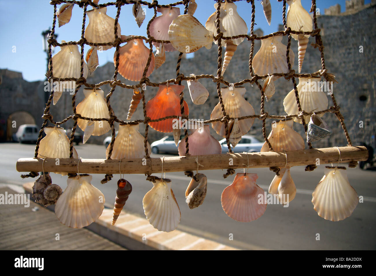 Muscheln auf dem Display außerhalb der mittelalterlichen Stadtmauern von Rhodos Altstadt Rhodos Griechenland (c) Marc Jackson Photography Stockfoto
