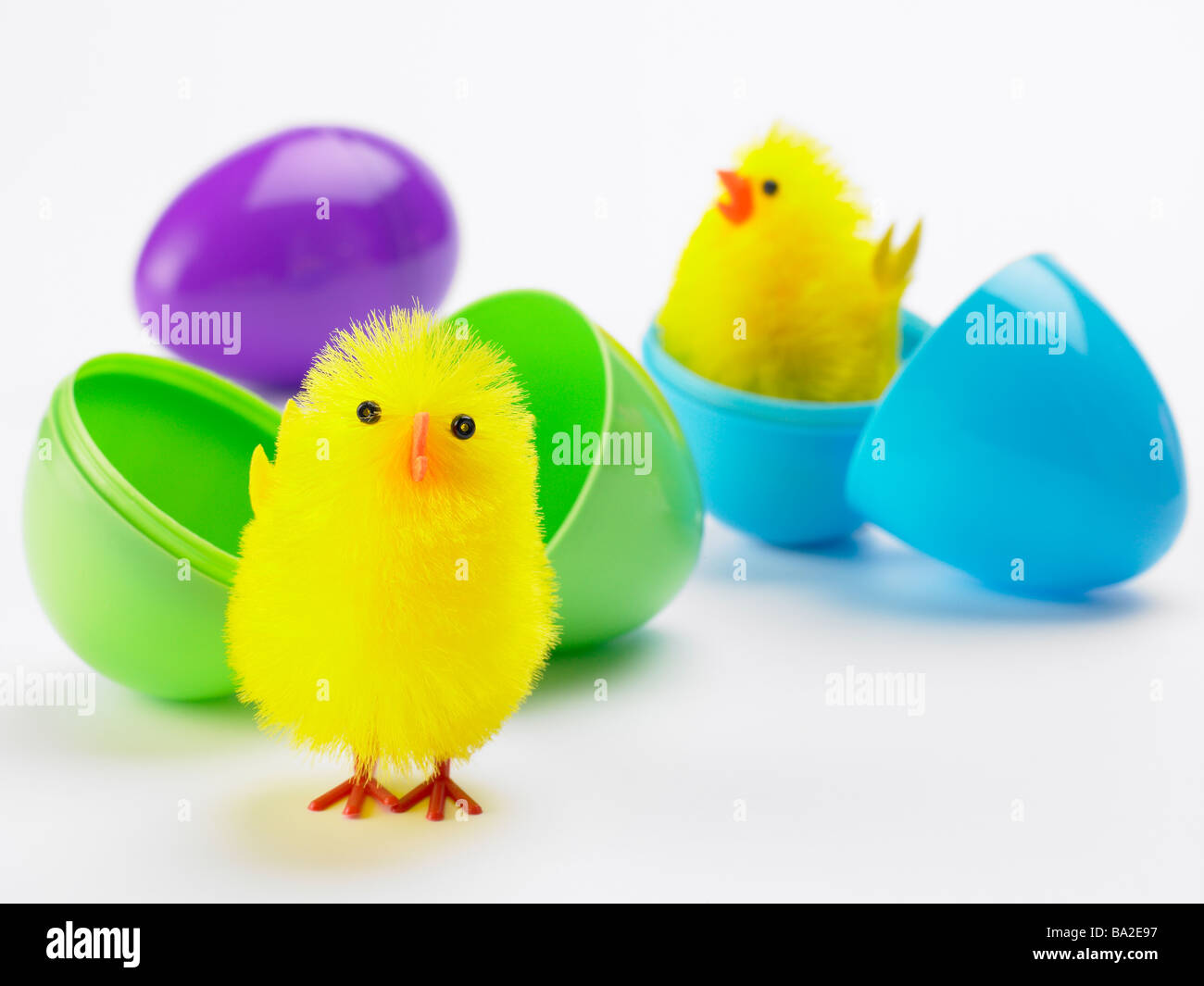Ostern-Küken schlüpfen aus Eiern Stockfoto