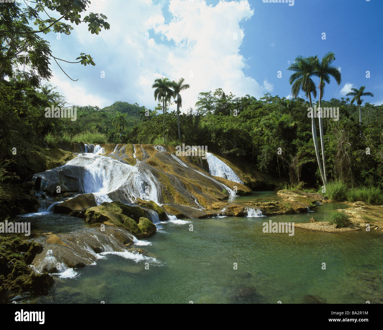 My Image 23