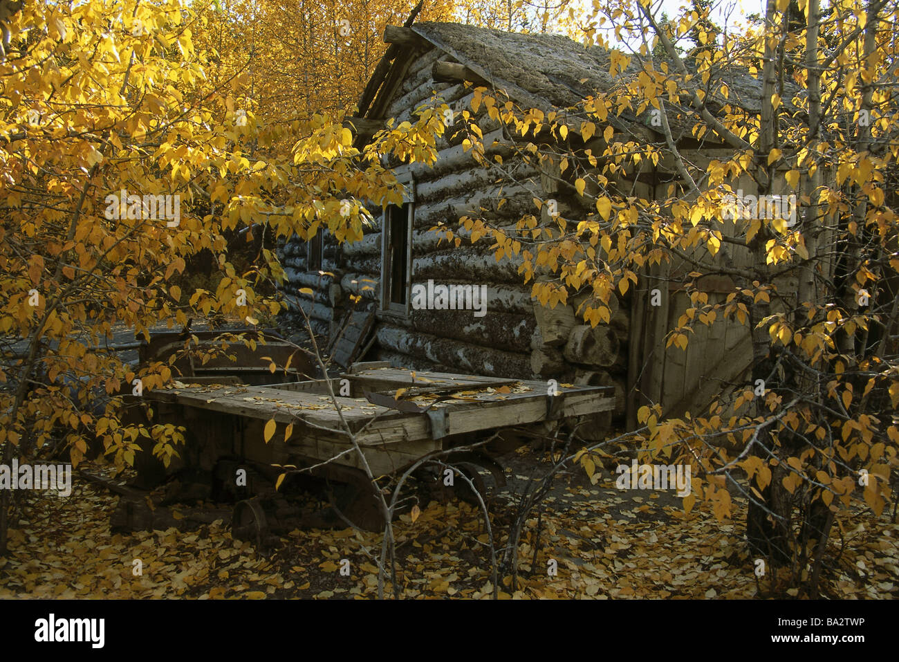 Kanada-Yukon-Silber Stadt Blockhaus lehnt Wald herbstlich Nordamerika Landschaft Haus Residenz Holz-Haus Stockfoto