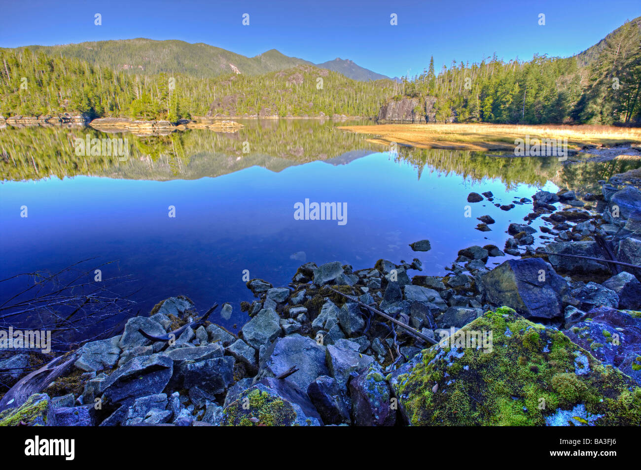 Berg und Wald Landschaft auf der Wasseroberfläche von Tofino Inlet einen Übergangsbereich des Clayoquot Sound UNESCO widerspiegelt. Stockfoto