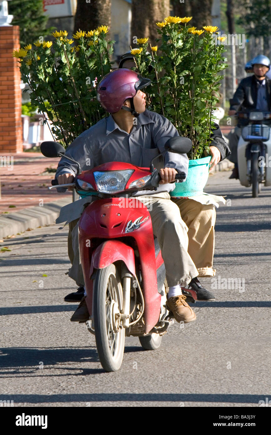 Vietnamesische Mann Transport von Topfblumen auf ein Motorrad in Hue, Vietnam Stockfoto