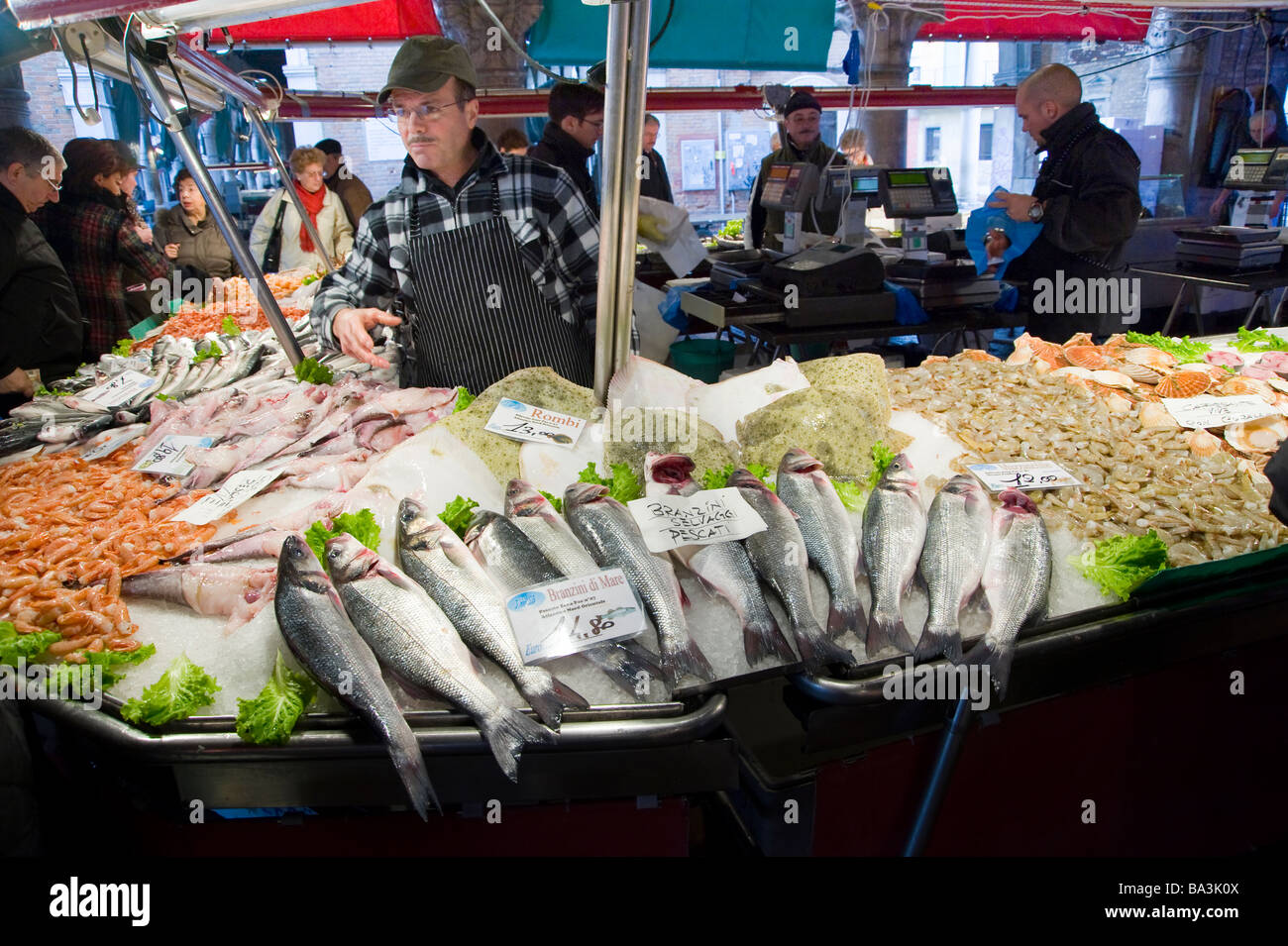 Meeresfrüchte Stall in Rialto Markt für Obst und Gemüse. Campo de la Pescaria. Venedig, Italien. Stockfoto