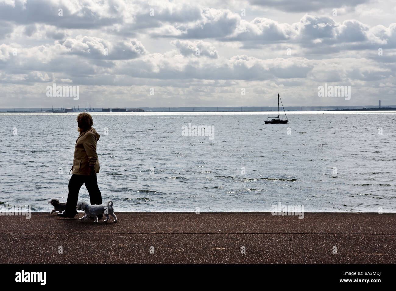 Silhouette einer Frau zu Fuß ihr zwei kleine Hunde an Southend Strandpromenade in Essex.  Foto von Gordon Scammell Stockfoto