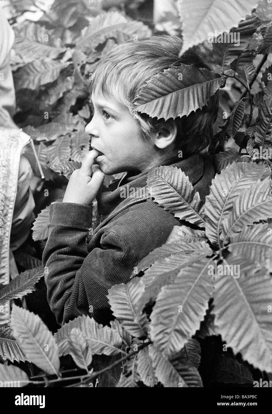 70er Jahre, schwarz / weiß Foto, Menschen, Kinder, Kinder behandeln, kleine Junge steht in einem Gebüsch und ist entzückt über eine Show, die Finger im Mund, im Alter von 4 bis 7 Jahre Stockfoto