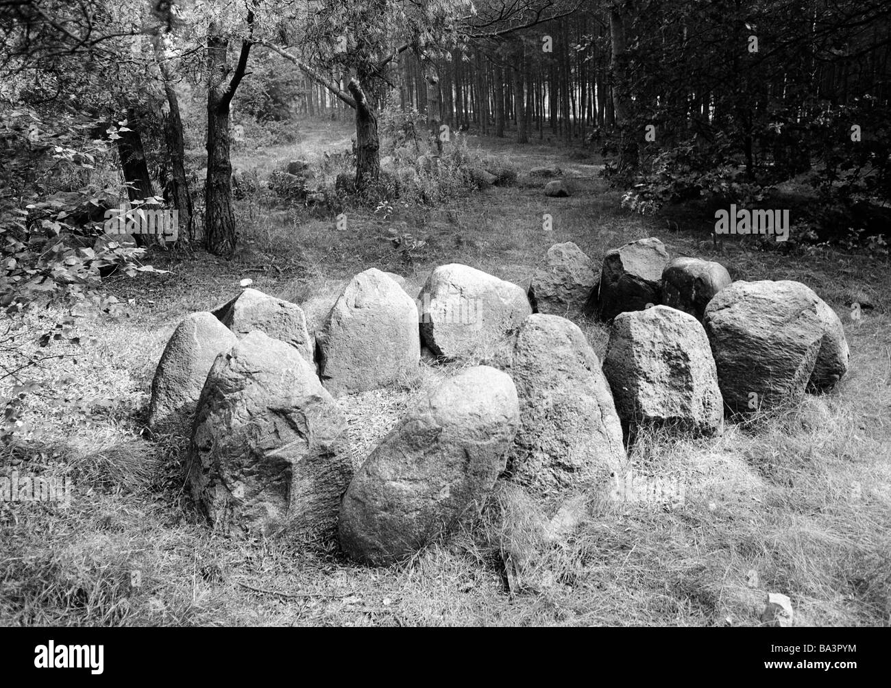 Achtziger Jahre, Megaltihgrab in Einem Waldstueck der Lueneburger Heide, Suhlendorf, Samtgemeinde Rosche, Lueneburger Heide, Niedersachsen Stockfoto