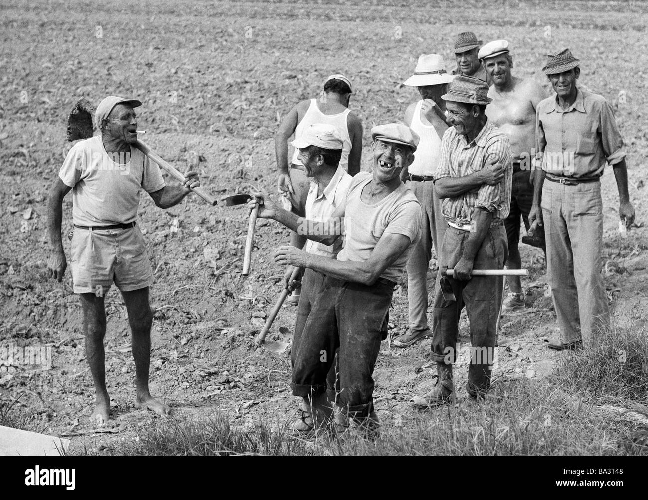 70er Jahre, schwarz / weiß Foto, Agrarwirtschaft, Feldarbeit, Landarbeiter in der Huerta in der Provinz Valencia nehmen eine Mittagspause, im Alter von 40 bis 60 Jahre, Spanien, Valencia Stockfoto