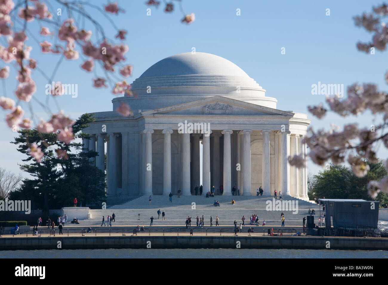 Jefferson Memorial, Washington, DC, mit Kirschblüten. Stockfoto