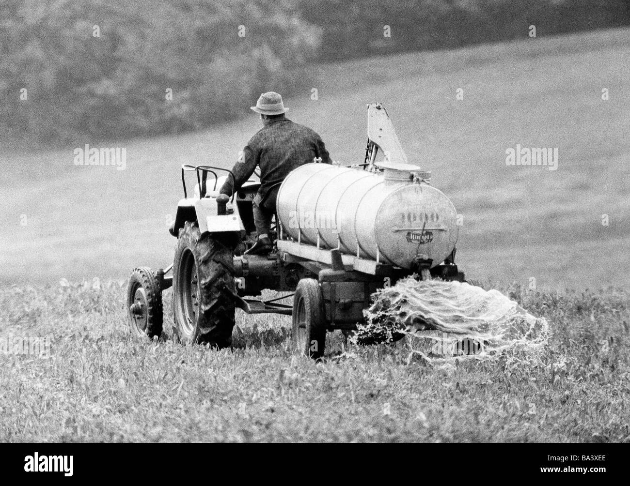 70er Jahre, schwarz / weiß Foto, Landwirtschaft, Düngung, Landwirt-Laufwerke mit einem Traktor und einem Honig-LKW auf einem Feld, Schwarzwald, Baden-Württemberg Stockfoto