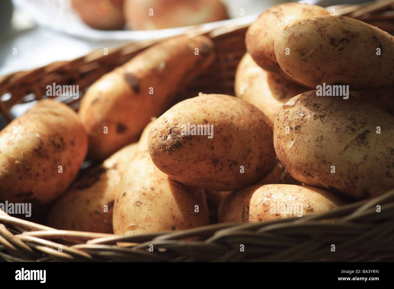 Korb Kartoffeln grob Solanums Gemüse Solanum Tuberosum Knollen Nahrung symbol stärkehaltige Kohlenhydrate Kartoffel-Stärke leise Stockfoto
