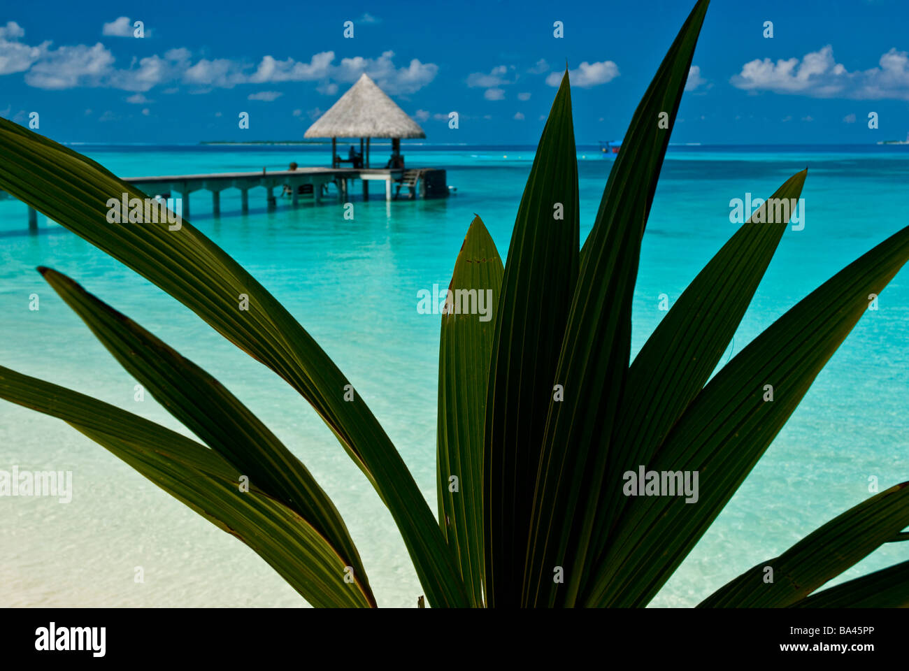 Lagoon Bar Coco Palm Dhuni Kolhu Dhuni Kolhu Island Baa Atoll Malediven Indischer Ozean Asien Stockfoto