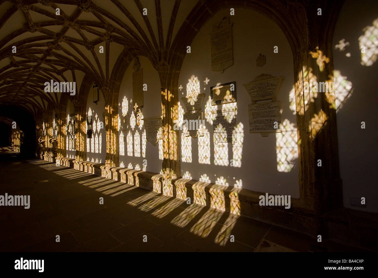 Wells Cathedral Kreuzgang Somerset england Stockfoto