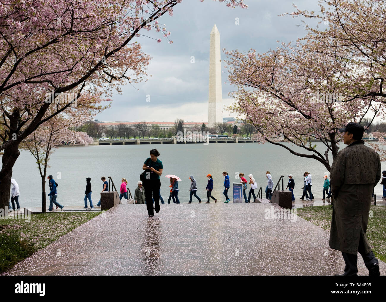 Besucher bei den Washington DC Gezeitenbecken während einer regnerischen Kirschblüte Stockfoto