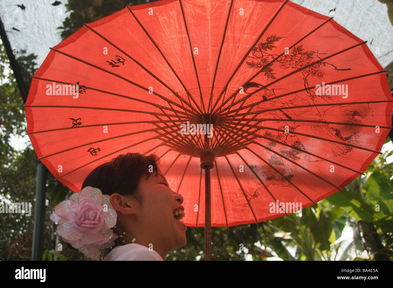 Dai Minderheit Mädchen Lachen unter einem Sonnenschirm in Yunnan China Stockfoto