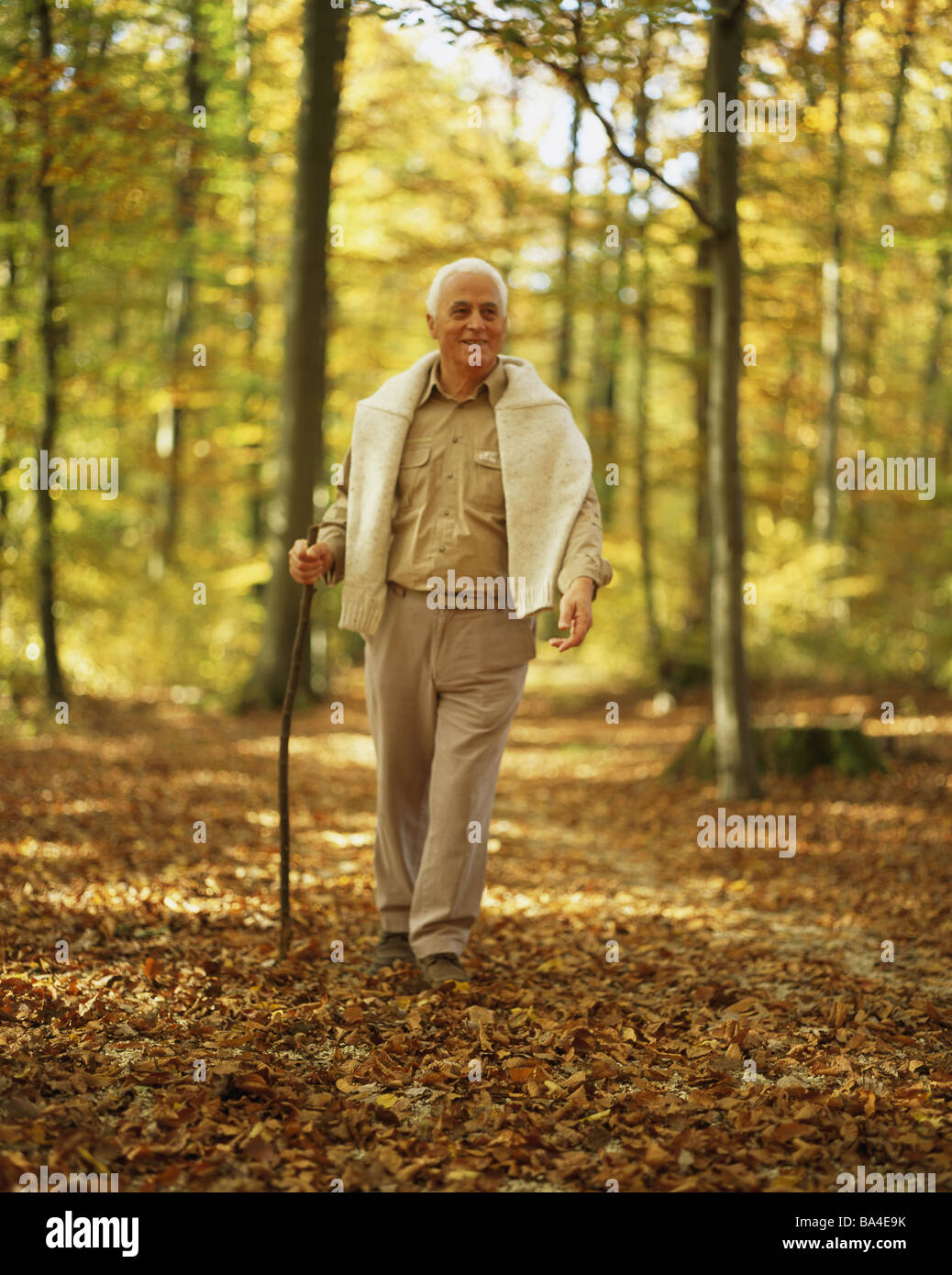 Forest senior Gehstock Spaziergang Herbst Serie Leute Mann 70-80 Jahre  weißhaarige Holz-Stick Stick Bewegung Aktivität Fitness geht  Stockfotografie - Alamy