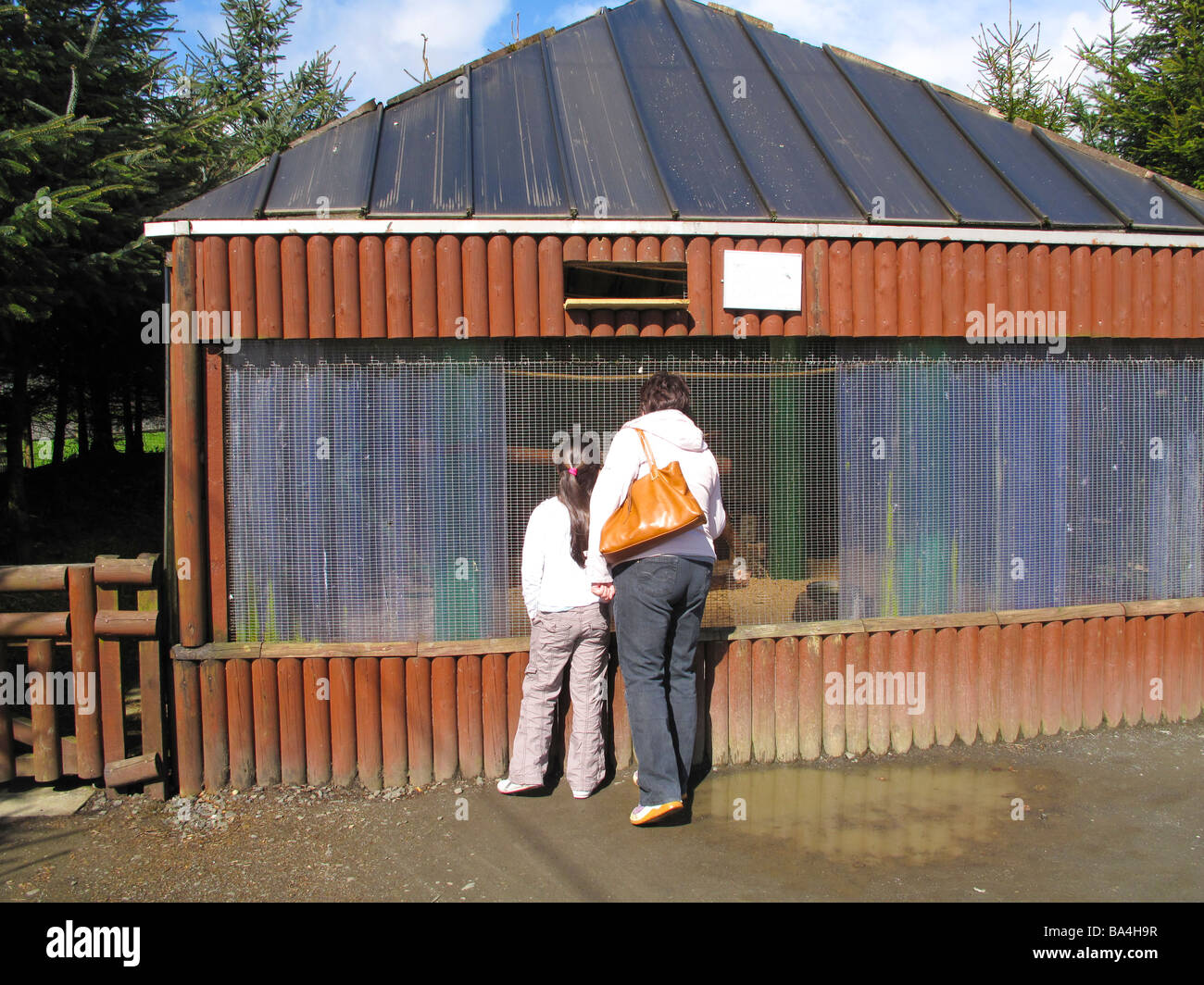 Mutter und Tochter suchen in Tiere Käfig im Zoo park Stockfoto