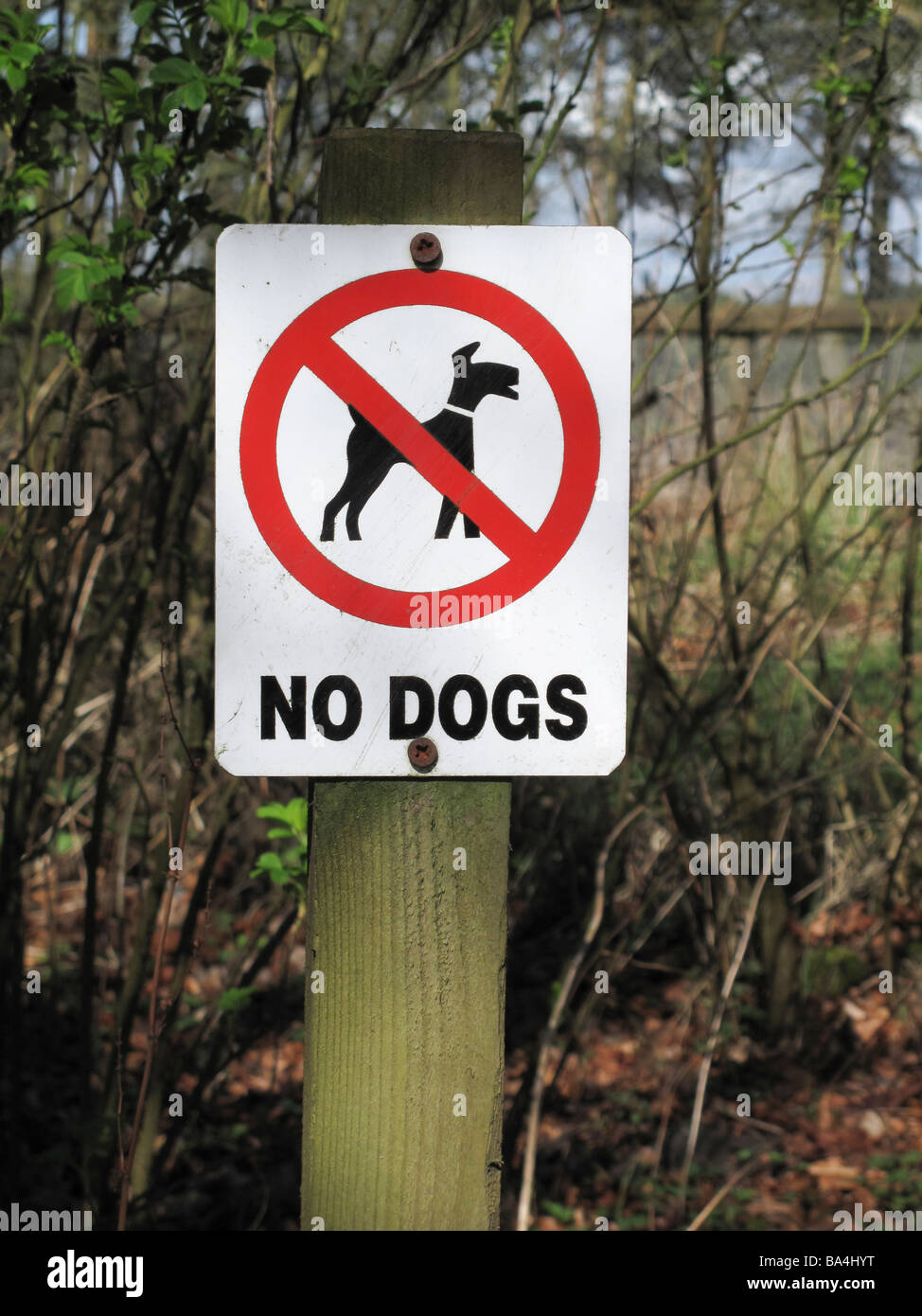 Keine Hunde-Zeichen durch Fußweg Stockfoto