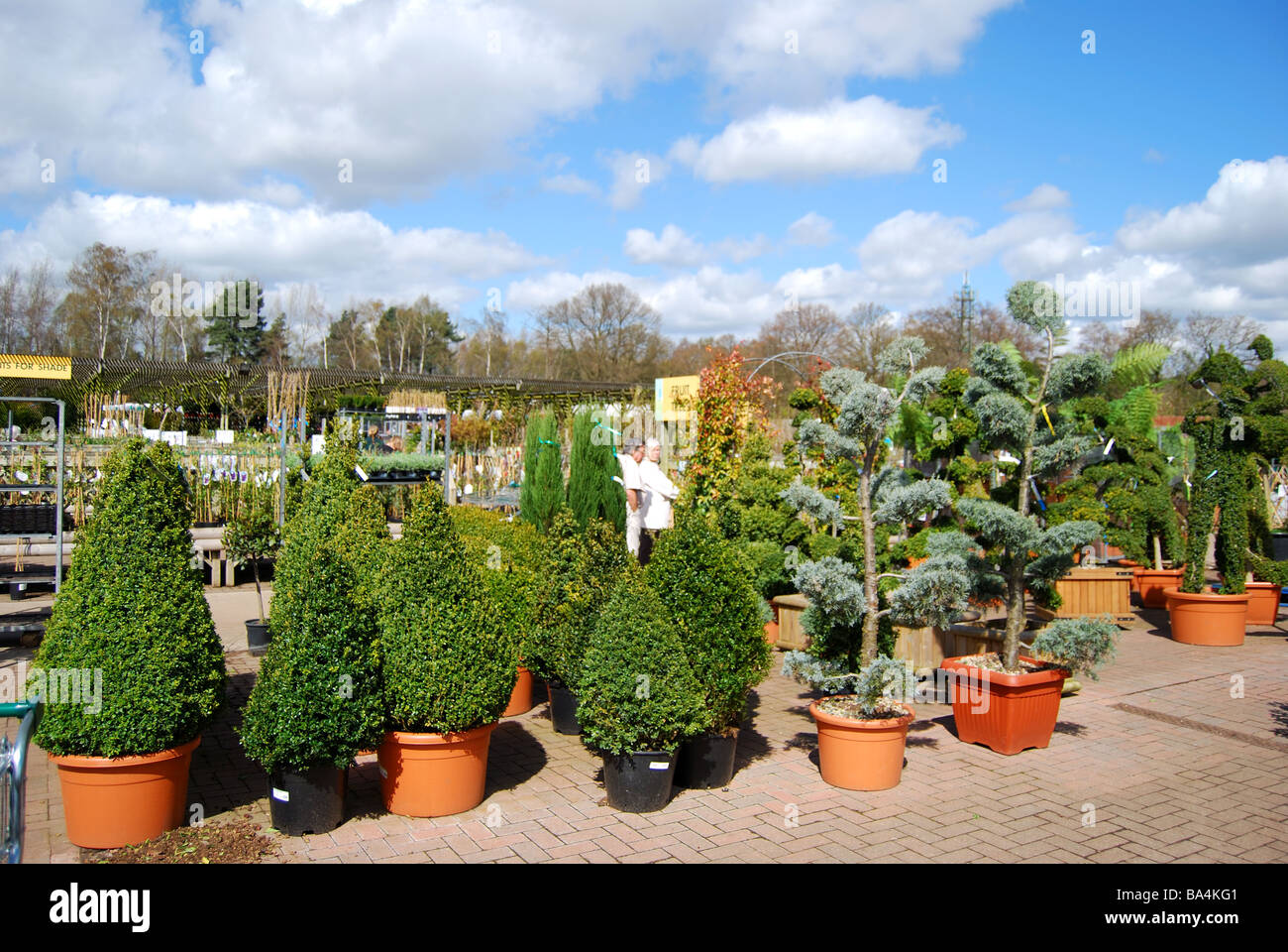 Freilandpflanzen, Longacre Kindergarten, Chobham, Surrey, England, Vereinigtes Königreich Stockfoto