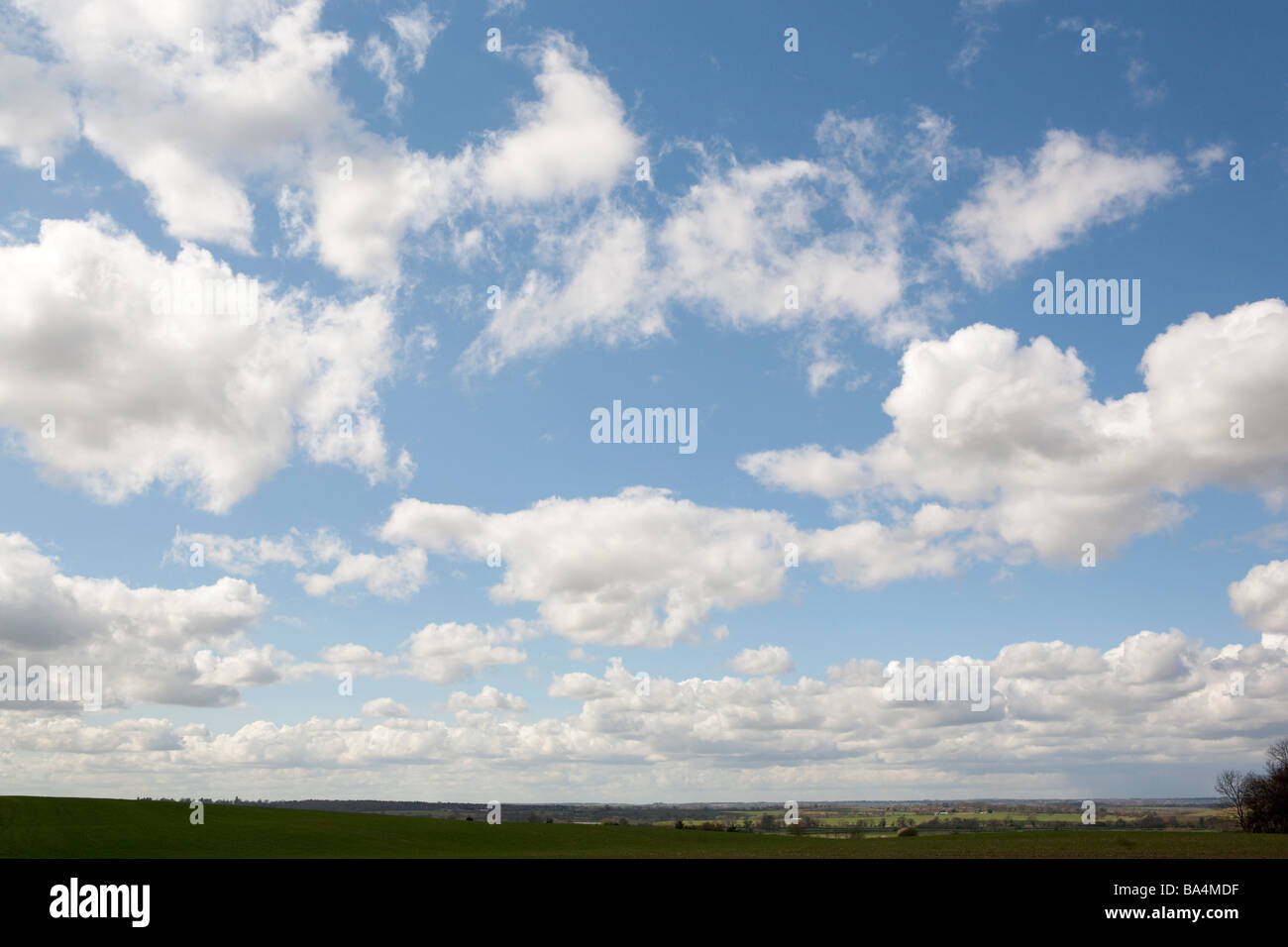Blauer Himmel mit Cumulus-Wolken und niedrigen, übersichtliche, Horizont Stockfoto
