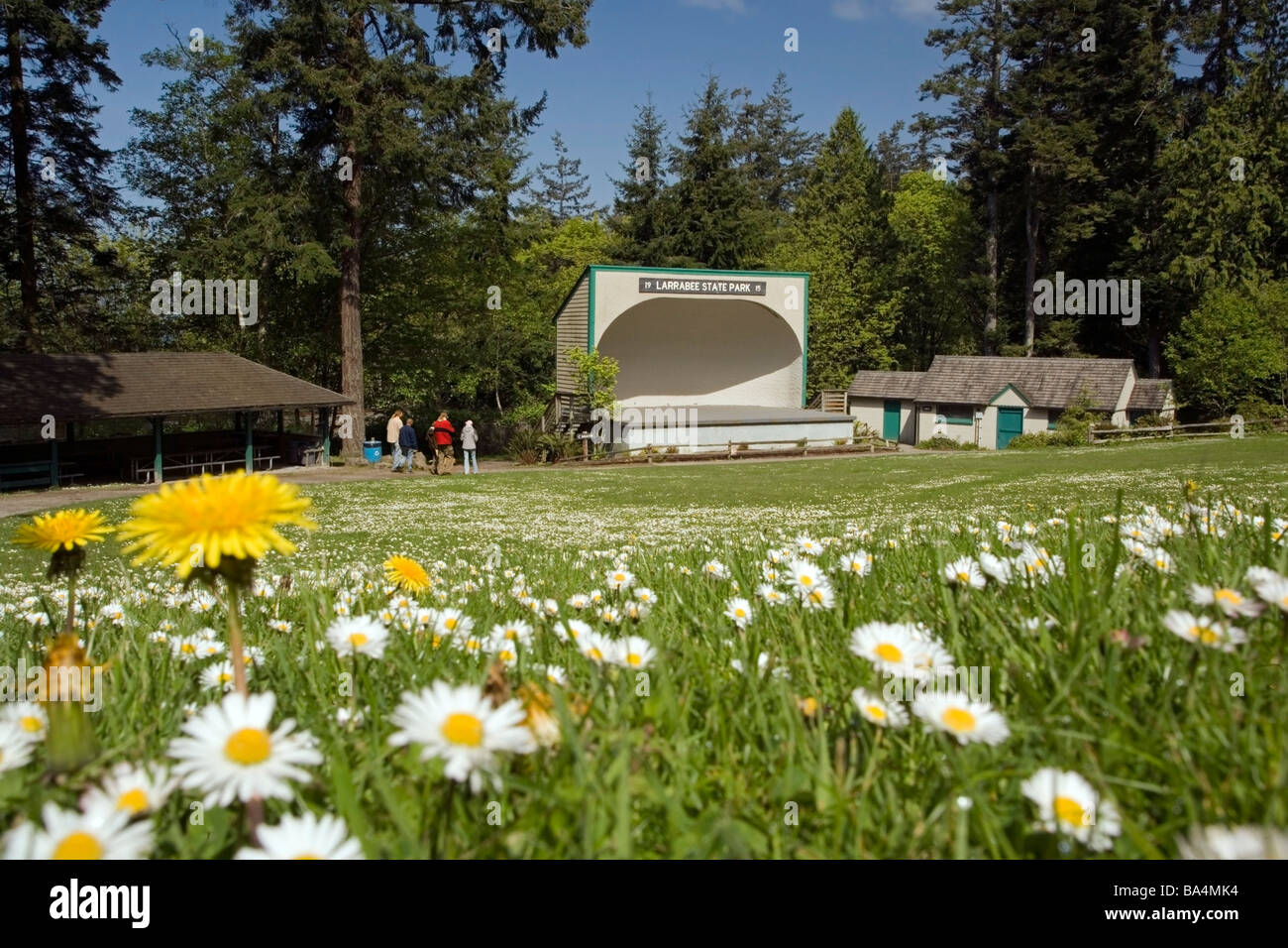 Bandshell - Larrabee State Park, Washington Stockfoto