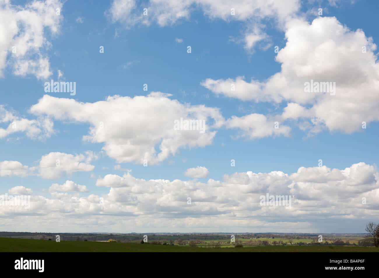 Blauer Himmel mit Cumulus-Wolken und niedrigen, übersichtliche, Horizont Stockfoto