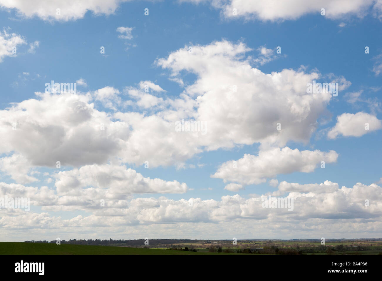 Blauer Himmel mit Cumulus-Wolken und niedrigen, übersichtliche, Horizont Stockfoto
