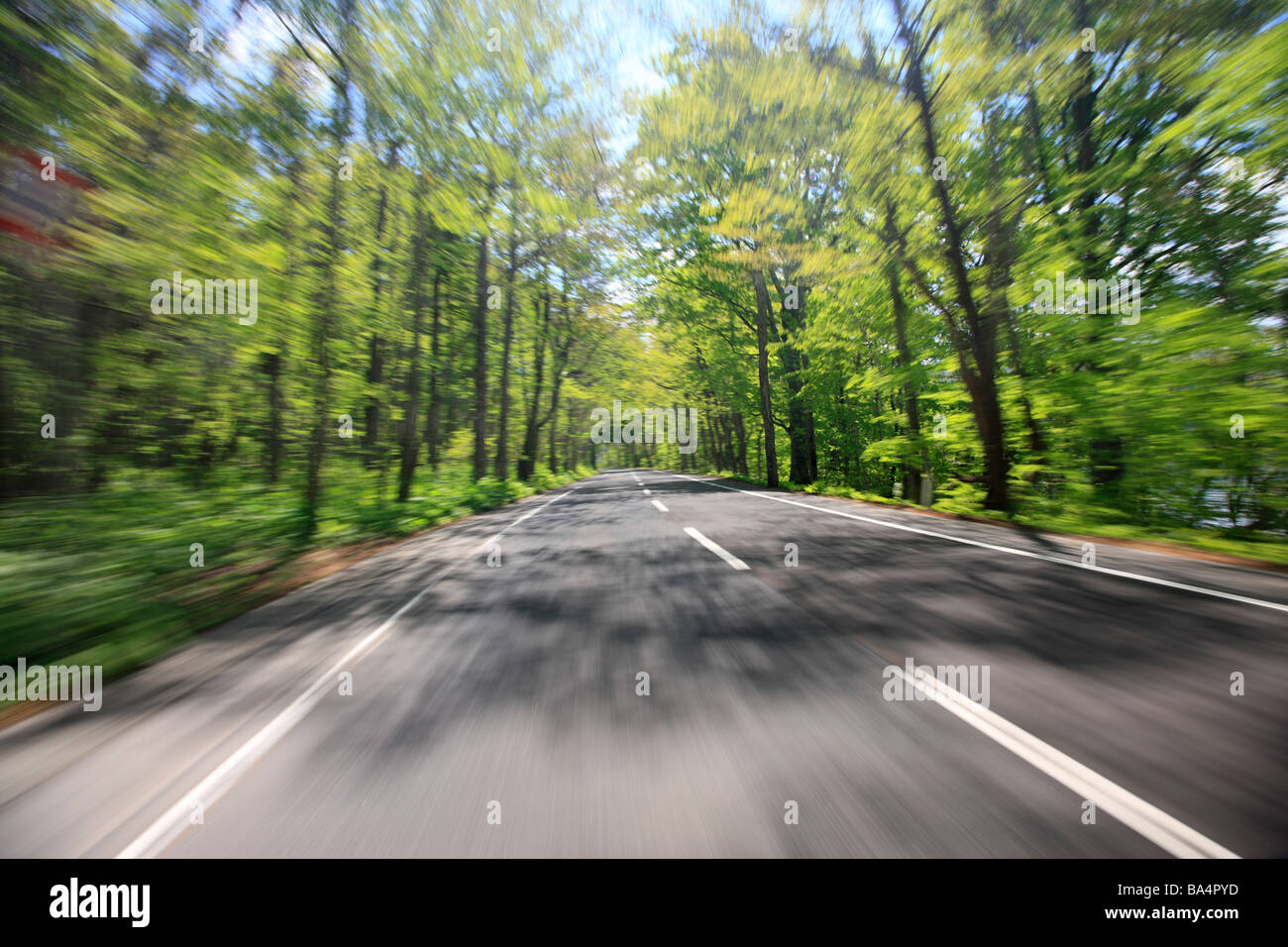 Sonnenstrahlen durchscheinen Äste eines Baumes im leeren Straße Stockfoto