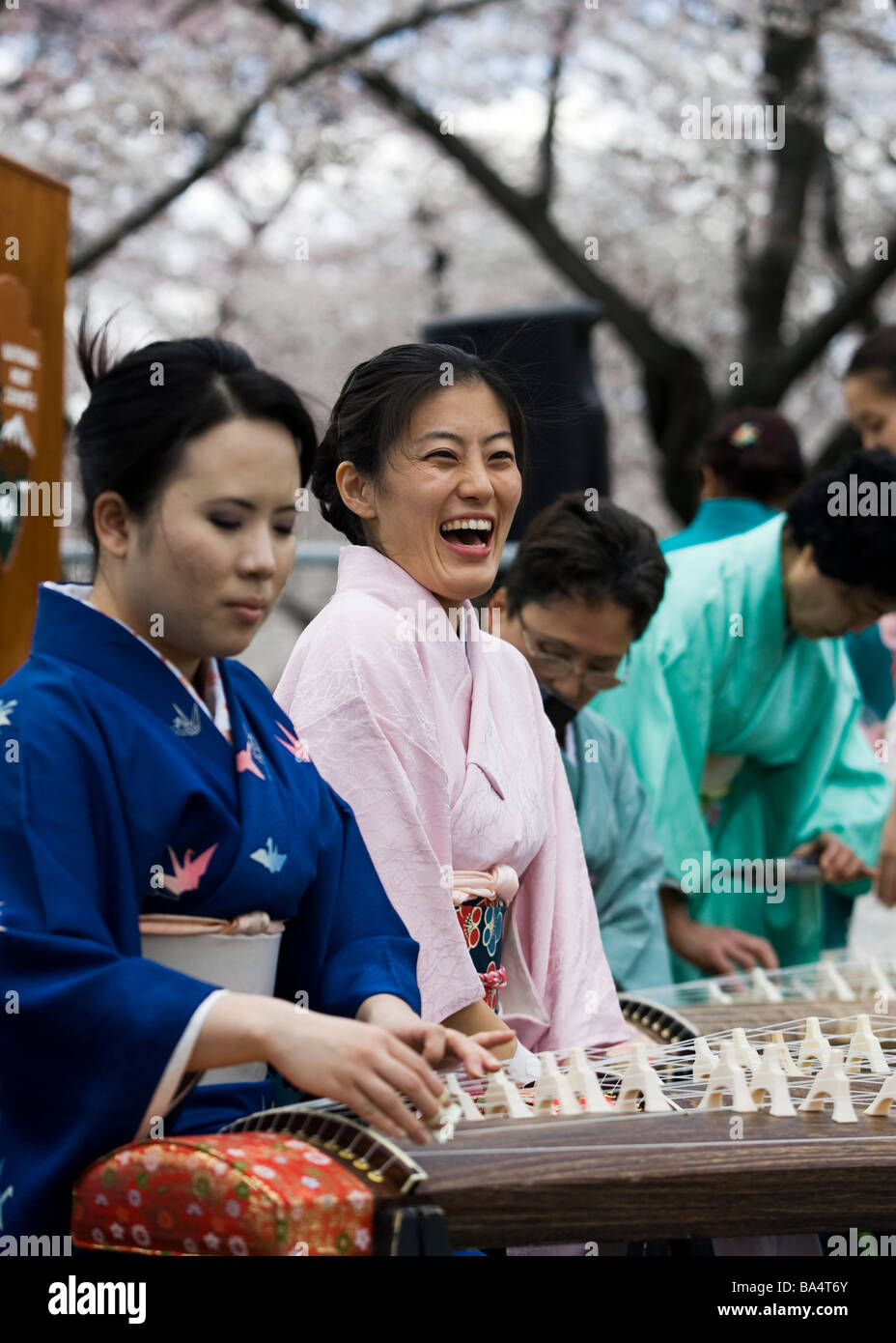 Japanische Frauen spielen Koto Stockfoto