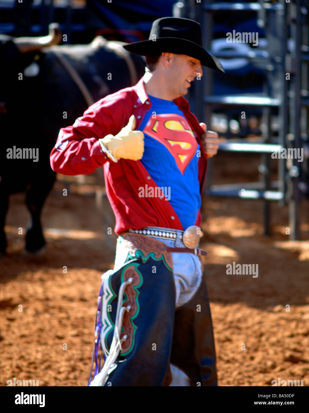 Amerikanische Cowboy beugt seine Muskeln und Vertrauen nur nach einem Bull-Fahrt, sein 'Superman' Hemd unter seinem Westernhemd anzeigen Stockfoto